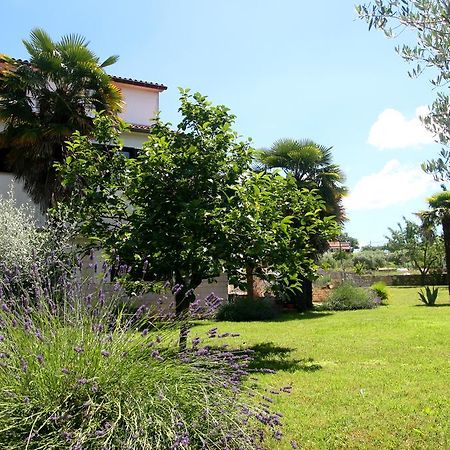 Korsa Apartment Sveti Lovreč Pazenatički エクステリア 写真